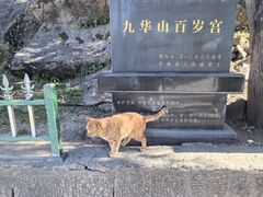 -九华山风景区