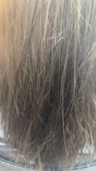 -Nice·烫染设计Salon