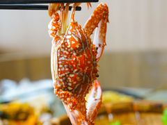 -巽寮印象美食部落餐厅·海鲜·地方特色菜(惠州体验店)