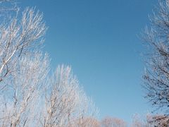 济南森林公园-济南森林公园