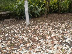-龙头寺公园