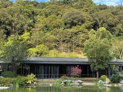 -云溪植物园