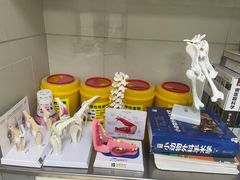 -申普宠物医院·心脏介入·心血管微创(总院)