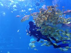 -太平洋海底世界