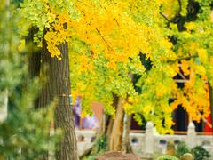 -苏州碑刻博物馆