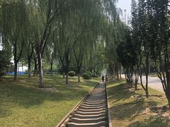 -永定河休闲森林公园