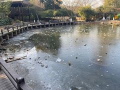 -白马涧龙池景区