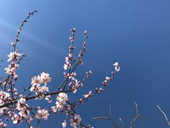 -北京鹫峰国家森林公园