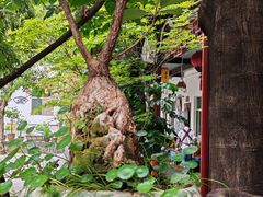 -嘉里饭庄