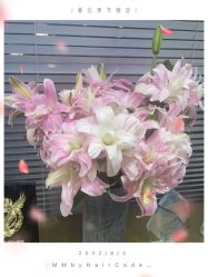 -MMbyHairCode 芭曲发型沙龙