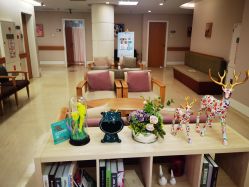 -北京亚运村美中宜和妇儿医院