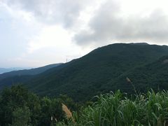 -东部华侨城