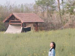 -东湖落雁景区