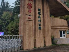 -五营红松林海景区