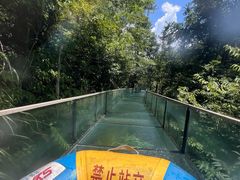 -龙井峡漂流