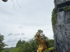 -宜兴龙背山森林公园