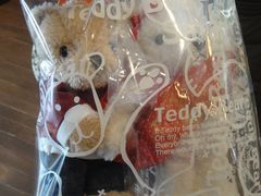 -济州岛泰迪熊博物馆