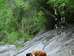 -广州白江湖森林公园