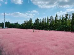 -嘉北郊野公园