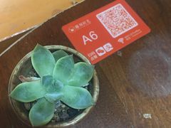 -雕刻时光咖啡馆(南院门店)