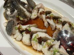 清蒸海红斑-东富酒家(龙湖西溪天街店)