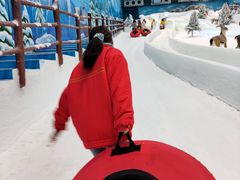 -世界之窗阿尔卑斯冰雪世界