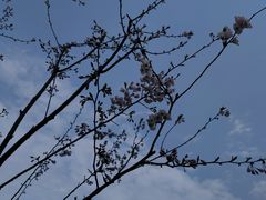 -东钱湖旅游度假区