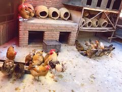 -鱼窝棚柴火铁锅炖(富山屯店)