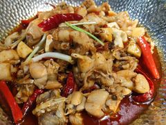 -大鸽饭(马王堆店)