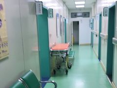 -北京观赏动物医院·24小时大型综合·猫专科·异宠专科