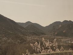 -黄土店站