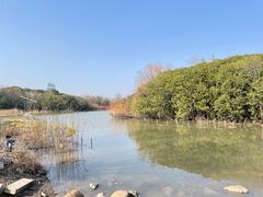 -上海吴淞炮台湾国家湿地公园