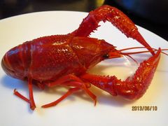 洞庭小龙虾-巴陵全鱼席(湖南老字号汴河街店 )