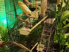 -火舞泰·泰式海鲜火锅餐厅(世纪城店)