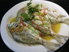 -宜兴隆家宴·私房菜(泰安华庭店)