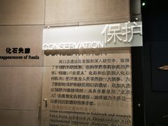 -北京周口店北京人遗址博物馆