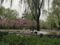 -西安市长乐公园
