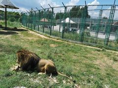 -鄂尔多斯野生动物园
