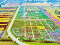 -中国天府农业博览园