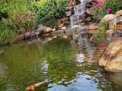 -惠州金海湾嘉华度假酒店