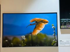 -西藏饭店·亚克·食光自助餐厅