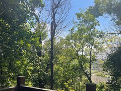 -上海佘山国家森林公园天马山园