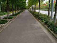 -上海长兴岛郊野公园