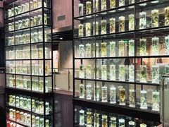 -广东中医药博物馆