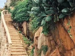 -东极岛景区