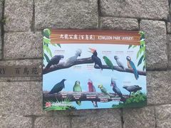 -九龙公园