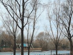 -沈阳鸟岛