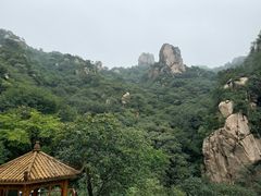 -大岭沟猕猴桃谷风景区
