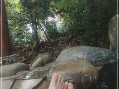 -青城道汤池