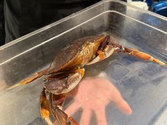 -珍宝海鲜JUMBO Seafood(尚嘉店)